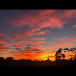 Meet your Posher, Claudia